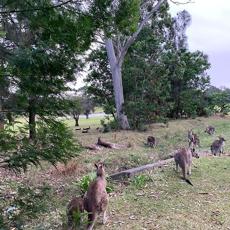 Golf View Motel Sanctuary Point Bagian luar foto