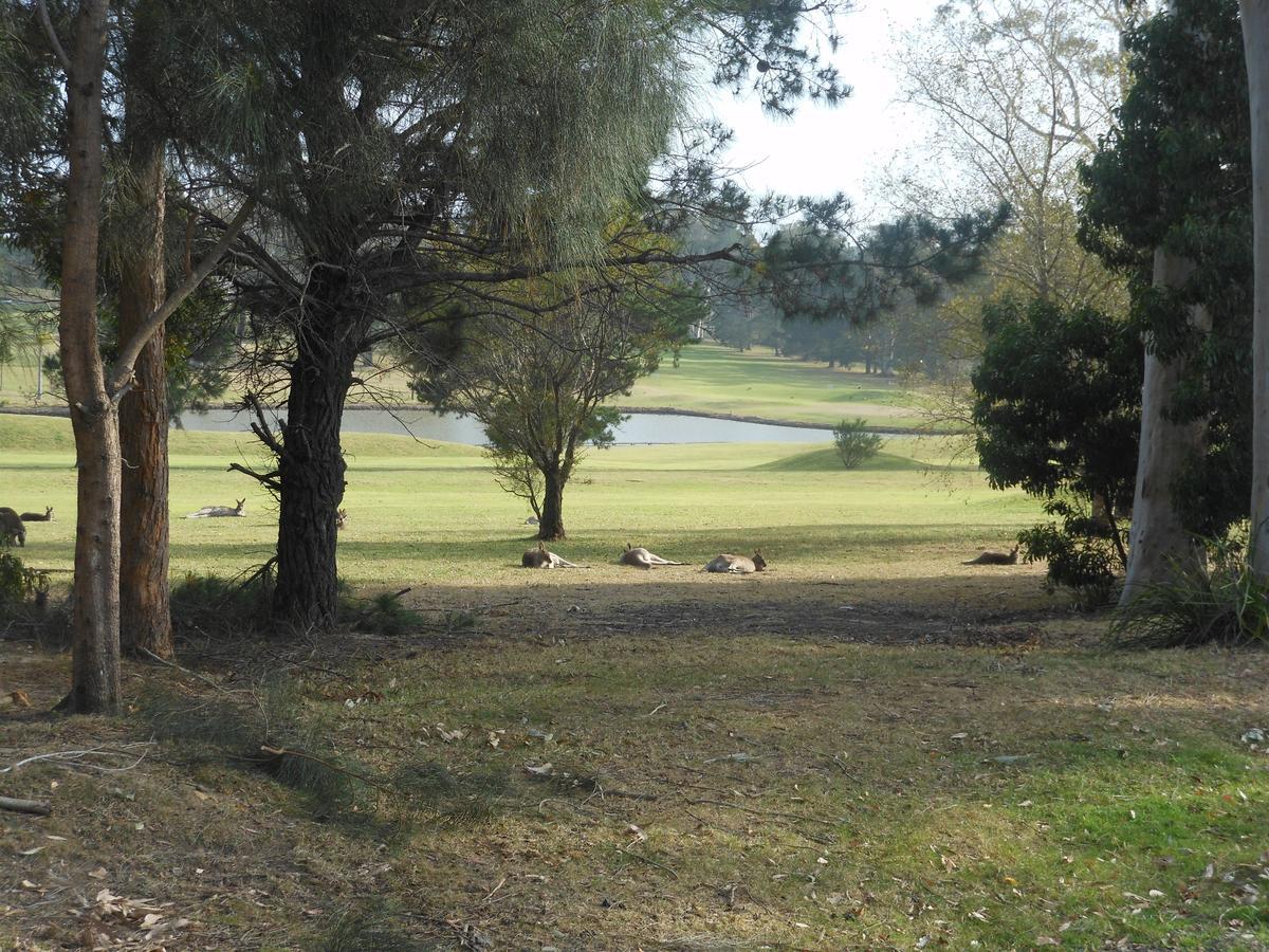 Golf View Motel Sanctuary Point Bagian luar foto