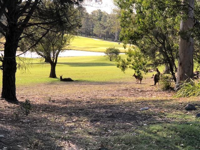 Golf View Motel Sanctuary Point Bagian luar foto